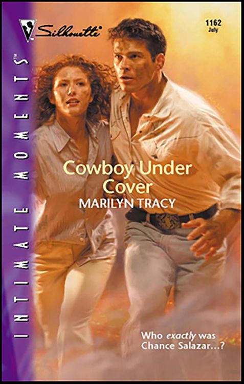 Produktbild: Cowboy Under Cover