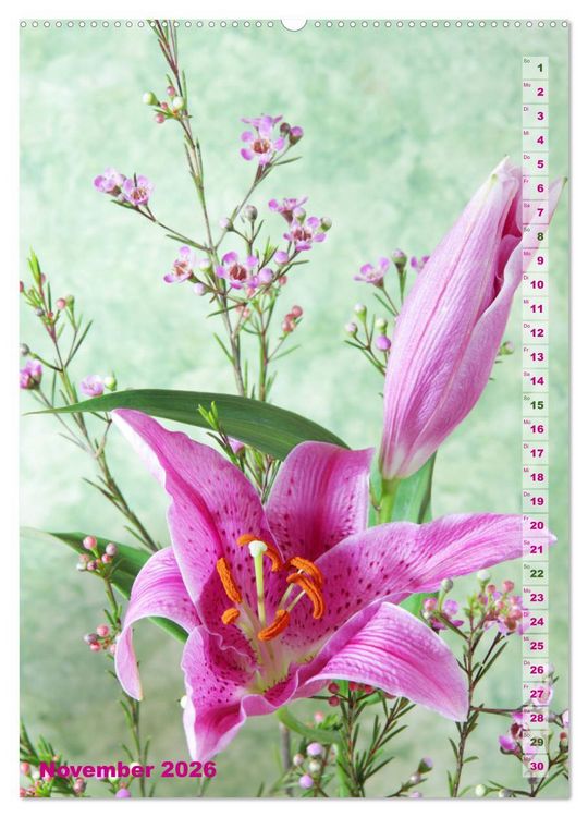 Produktbild: Lilien-Eleganz (hochwertiger Premium Wandkalender 2026 DIN A2 hoch), Kunstdruck in Hochglanz