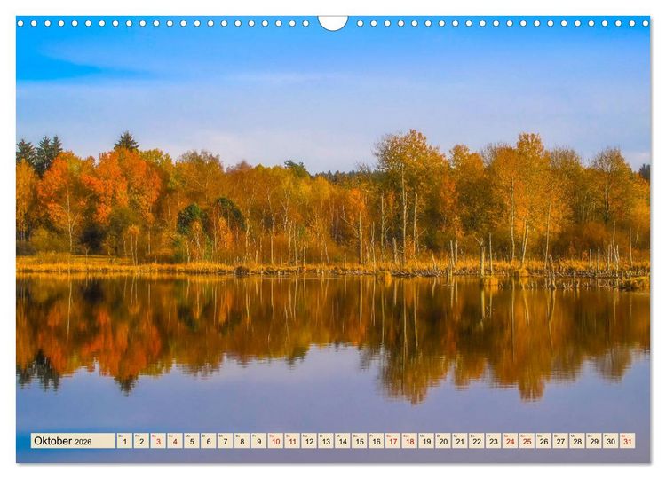 Produktbild: Herbst im Schwenninger Moos (Wandkalender 2026 DIN A3 quer), CALVENDO Monatskalender