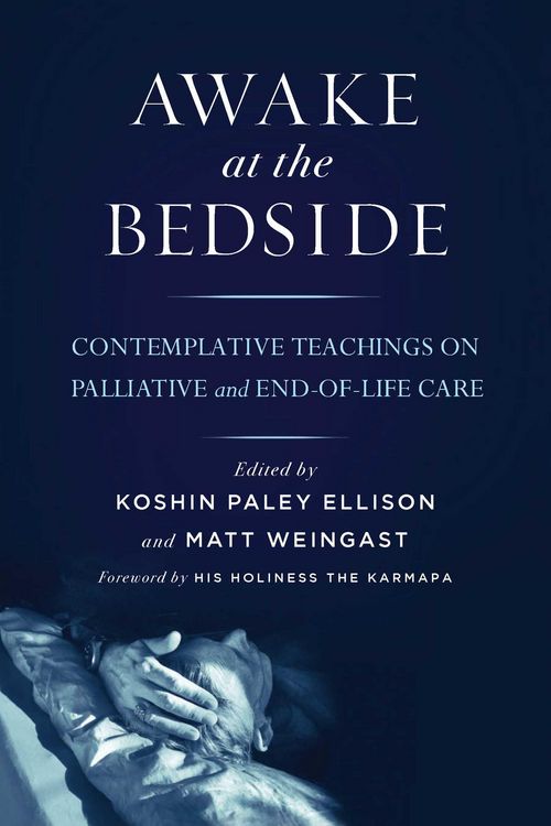 Produktbild: Awake at the Bedside
