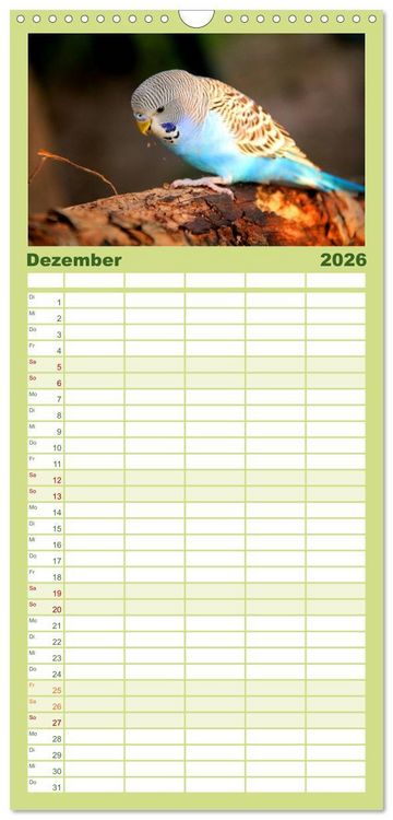Produktbild: Familienplaner 2026 - Wellensittiche - Naturkalender mit 5 Spalten (Wandkalender, 21 x 45 cm) CALVENDO