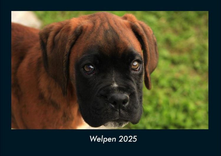 Produktbild: Welpen 2025 Fotokalender DIN A4