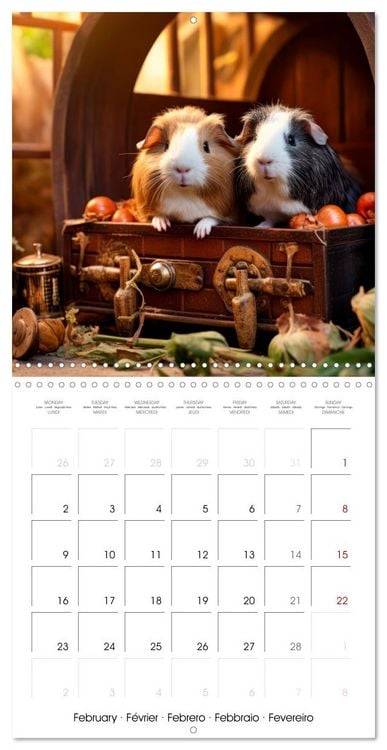 Produktbild: Sweet GUINEA PIGS (Wall Calendar 2026 12 &times; 12 Inch) CALVENDO 12 Month Wall Calendar