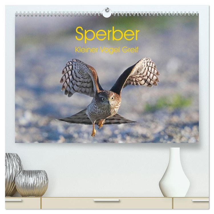 Produktbild: Sperber - Kleiner Vogel Greif (hochwertiger Premium Wandkalender 2026 DIN A2 quer), Kunstdruck in Hochglanz