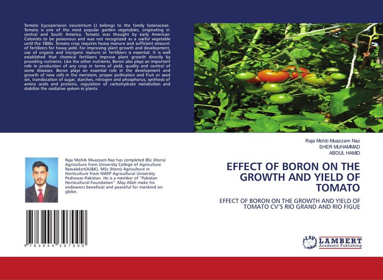 Produktbild: Effect Of Boron On The Growth and Yield Of Tomato
