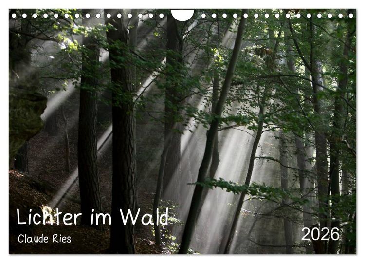 Produktbild: Lichter im Wald (Wandkalender 2026 DIN A4 quer), CALVENDO Monatskalender