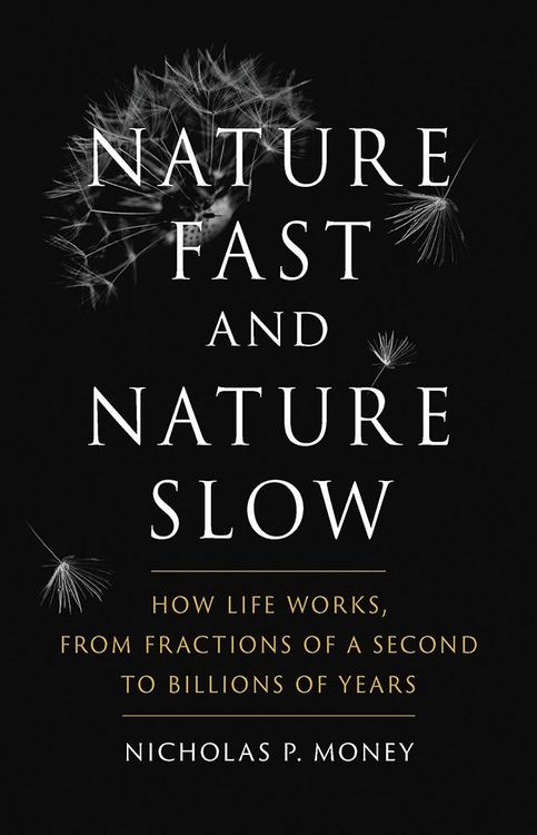 Produktbild: Nature Fast and Nature Slow