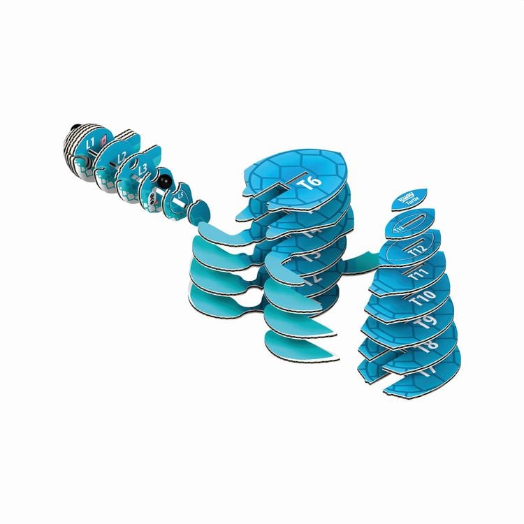 Produktbild: EUGY - 3D Bastelset Schildkr&ouml;te