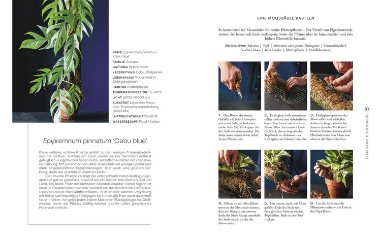 Produktbild: Urban Jungle Style