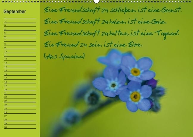 Produktbild: Vergiss mein nicht Geburtstagskalender (Wandkalender immerw&auml;hrend DIN A2 quer)
