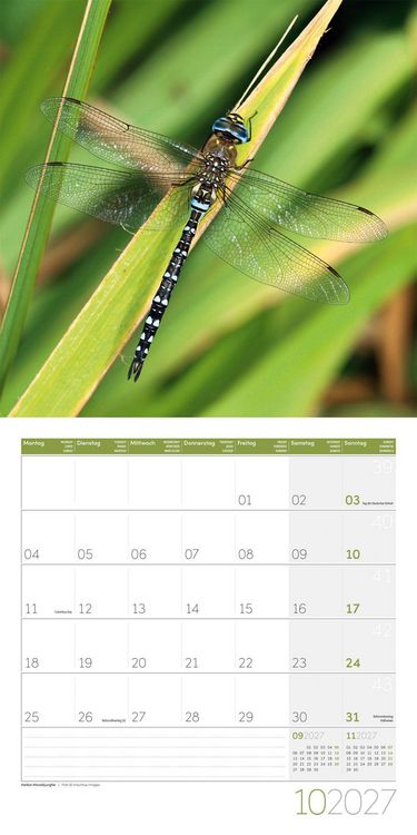 Produktbild: Gartenfreunde Kalender 2027 - 30x30 - Art12