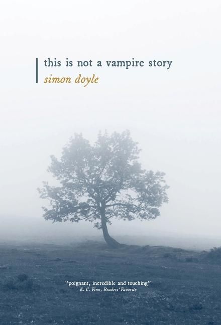 Produktbild: This is Not a Vampire Story