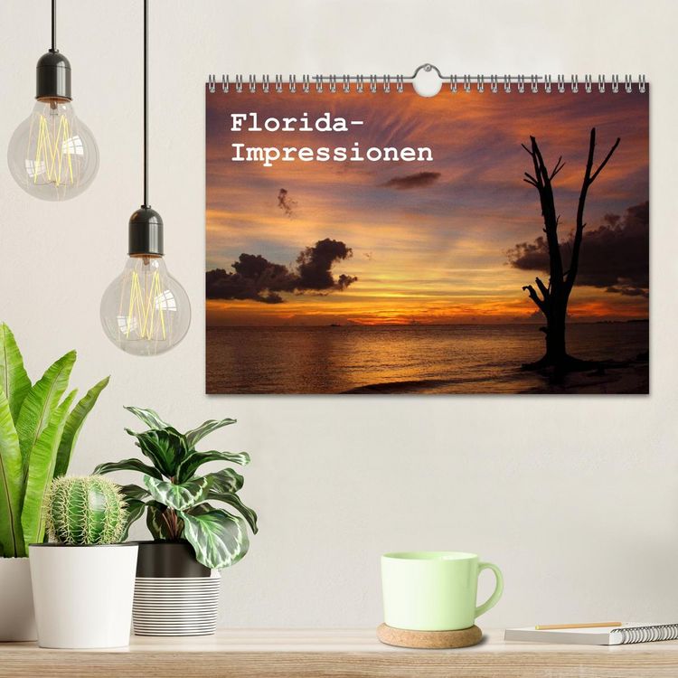 Produktbild: Florida Impressionen (Wandkalender 2026 DIN A4 quer), CALVENDO Monatskalender