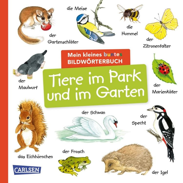 Produktbild: Mein kleines buntes Bildw&ouml;rterbuch: Tiere im Park und im Garten
