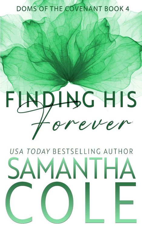 Produktbild: Finding His Forever