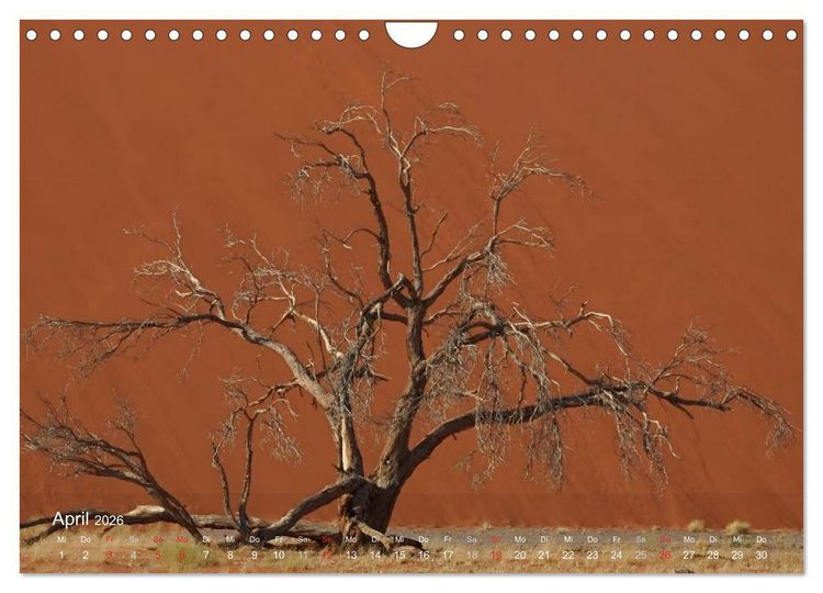 Produktbild: Afrikanische B&auml;ume (Wandkalender 2026 DIN A4 quer), CALVENDO Monatskalender
