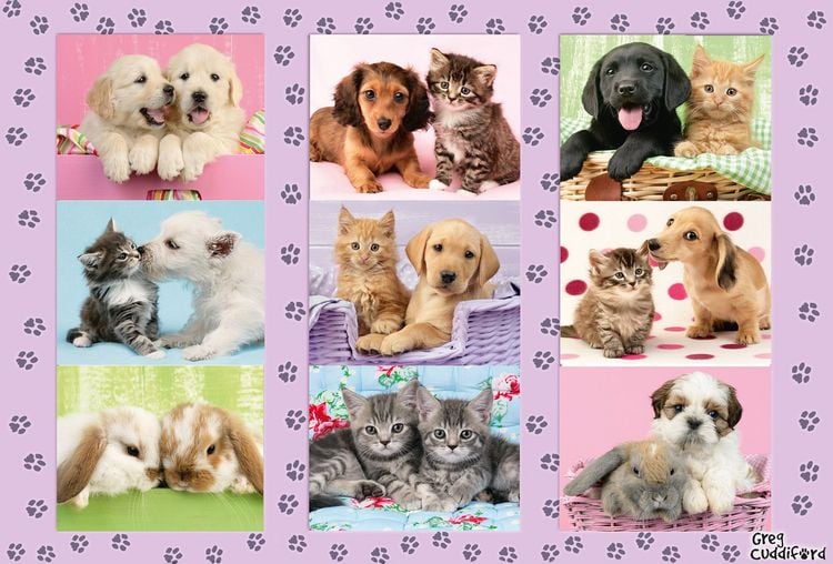Produktbild: Puzzle Schmidt Spiele 56268 Meine Tierfreunde Kinder 100 Teile