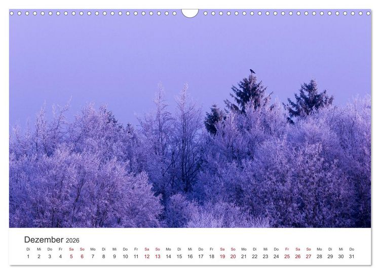 Produktbild: Im Deutschen Wald (Wandkalender 2026 DIN A3 quer), CALVENDO Monatskalender