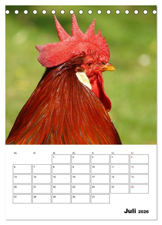 Produktbild: H&uuml;hner Terminplaner (Tischkalender 2026 DIN A5 hoch), CALVENDO Monatskalender