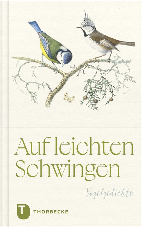 Produktbild: Auf leichten Schwingen