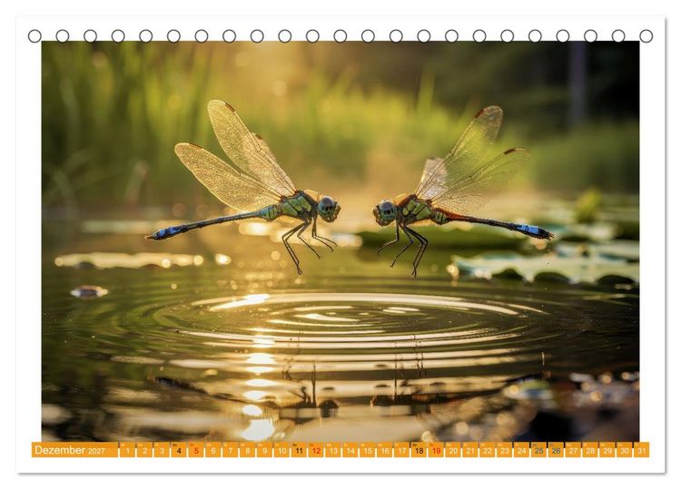 Produktbild: Prachtlibellen am Teich (Tischkalender 2027 DIN A5 quer), CALVENDO Monatskalender