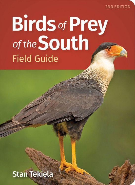 Produktbild: Birds of Prey of the South Field Guide