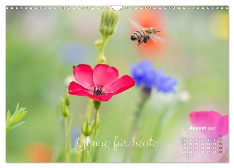 Produktbild: Bl&uuml;ten,Fl&uuml;gel und Gedanken &ndash; Ein Jahr in Bildern und Worten (Wandkalender 2027 DIN A3 quer), CALVENDO Monatskalender