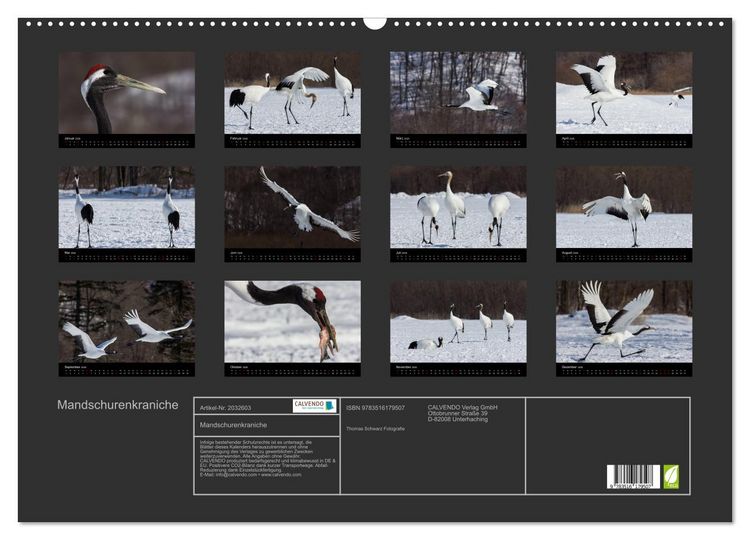 Produktbild: Mandschurenkraniche (Wandkalender 2026 DIN A2 quer), CALVENDO Monatskalender