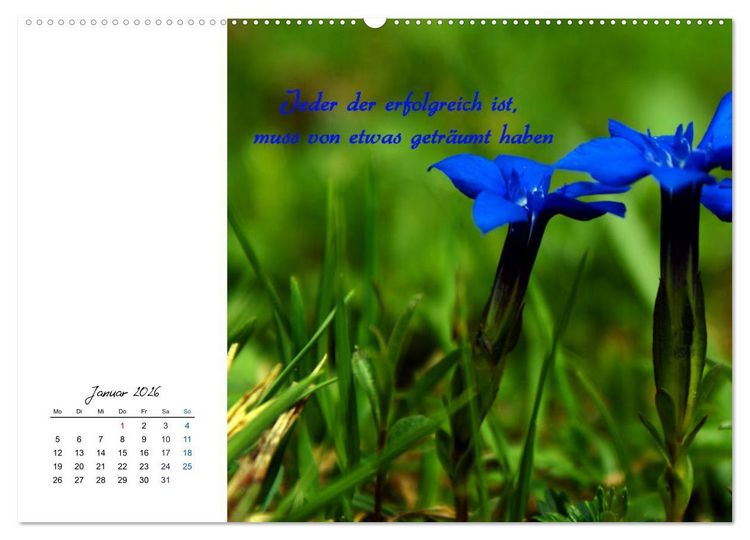 Produktbild: Innehalten in der Natur ... mit Weisheiten und Sprichworten der Indianer (hochwertiger Premium Wandkalender 2026 DIN A2 quer), Kunstdruck in Hochglanz