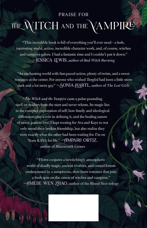 Produktbild: The Witch and the Vampire