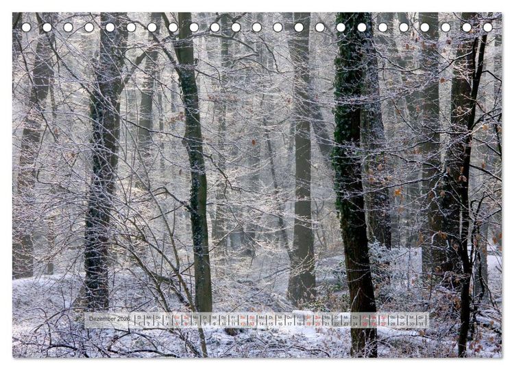 Produktbild: Wald im Bergischen Land 2026 (Tischkalender 2026 DIN A5 quer), CALVENDO Monatskalender