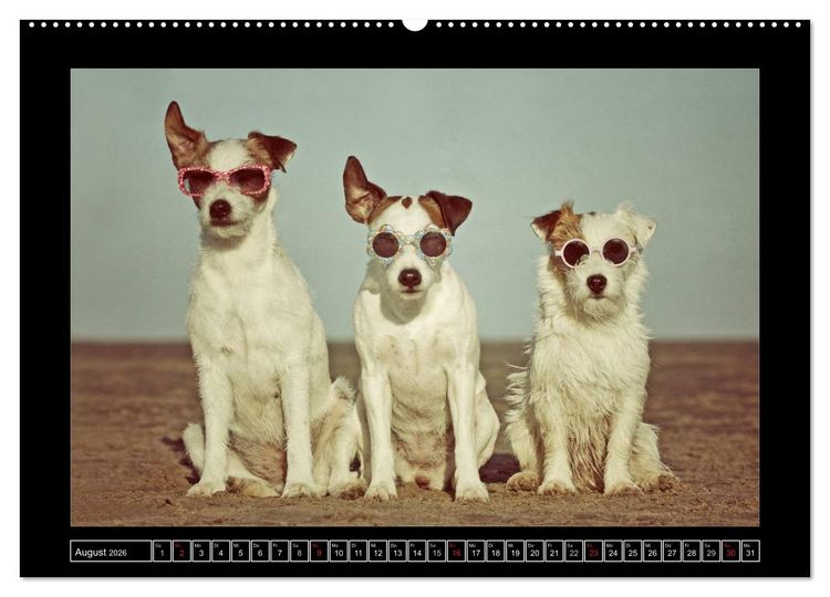 Produktbild: Parson Russell Terrier (hochwertiger Premium Wandkalender 2026 DIN A2 quer), Kunstdruck in Hochglanz