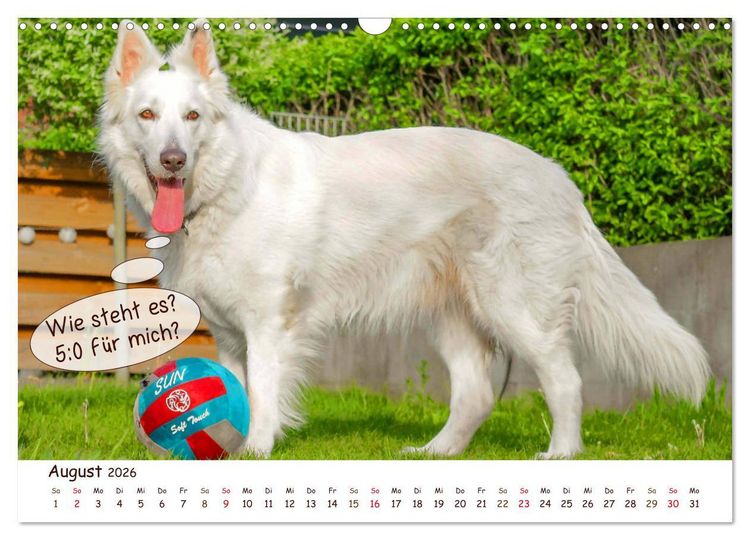 Produktbild: Frei Schnauze 2026. Was Hunde am liebsten sagen w&uuml;rden (Wandkalender 2026 DIN A3 quer), CALVENDO Monatskalender