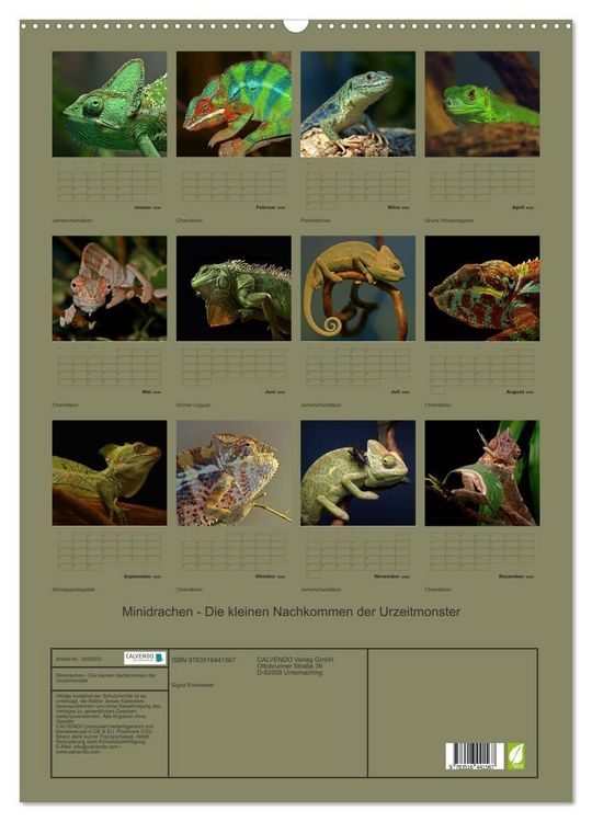 Produktbild: Minidrachen - Die kleinen Nachkommen der Urzeitmonster (Wandkalender 2026 DIN A2 hoch), CALVENDO Monatskalender