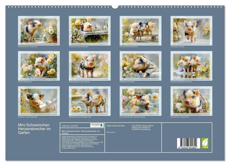 Produktbild: Mini-Schweinchen. Herzensbrecher im Garten (hochwertiger Premium Wandkalender 2027 DIN A2 quer), Kunstdruck in Hochglanz