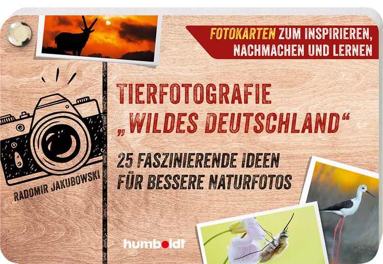 Tierfotografie „Wildes Deutschland“