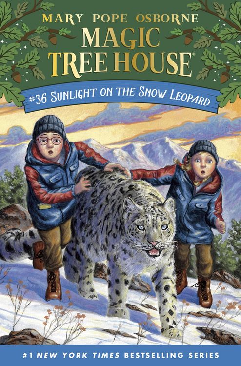 Produktbild: Sunlight on the Snow Leopard