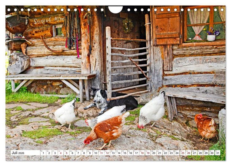 Produktbild: Almen im S&uuml;dtiroler Ultental (Wandkalender 2026 DIN A4 quer), CALVENDO Monatskalender