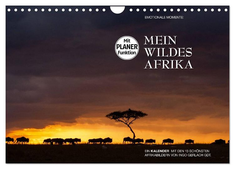 Produktbild: Emotionale Momente: Mein wildes Afrika (Wandkalender 2026 DIN A4 quer), CALVENDO Monatskalender