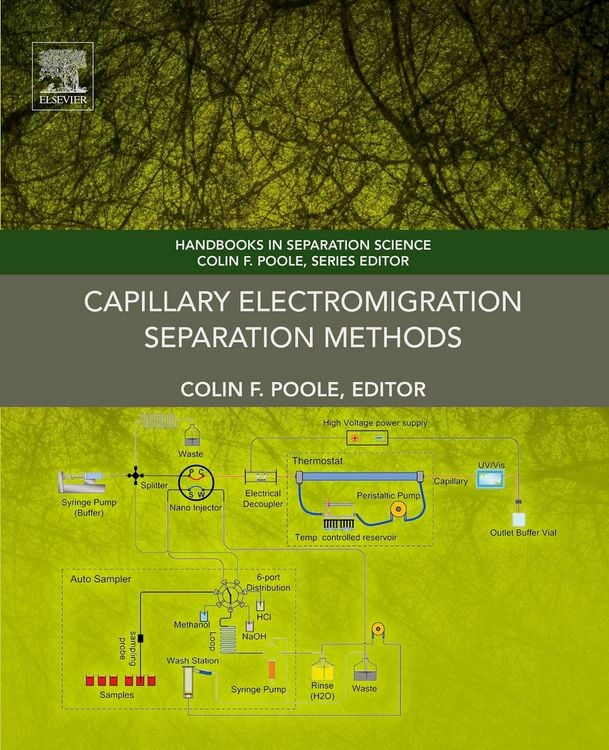 Produktbild: Capillary Electromigration Separation Methods