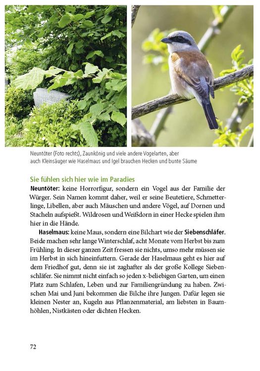 Produktbild: Der Friedhof lebt!