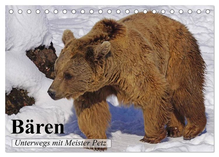 Produktbild: B&auml;ren. Unterwegs mit Meister Petz (Tischkalender 2026 DIN A5 quer), CALVENDO Monatskalender