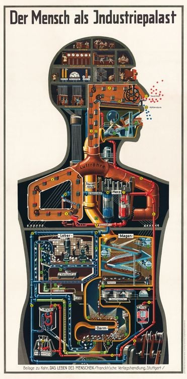 Produktbild: Der Mensch als Industriepalast von Dr. Fritz Kahn