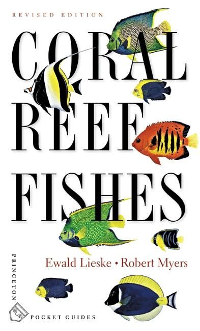 Produktbild: Coral Reef Fishes