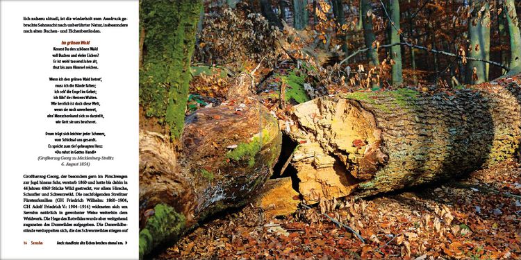 Produktbild: Mecklenburgs alte Buchenw&auml;lder
