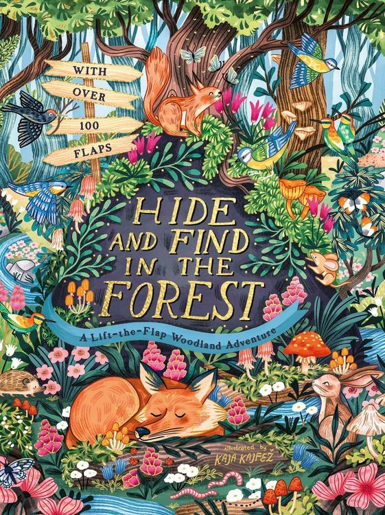Produktbild: Hide and Find in the Forest: A Lift-the-Flap Woodland Adventure