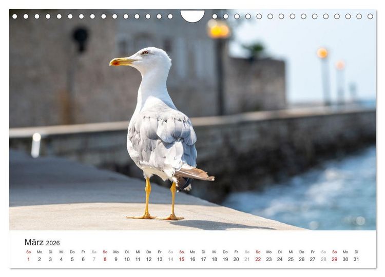 Produktbild: Porec Kalender - Die kroatische Stadt an der Adria (Wandkalender 2026 DIN A4 quer), CALVENDO Monatskalender