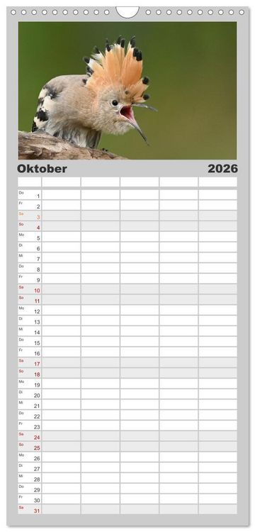 Produktbild: Familienplaner 2026 - V&ouml;gel, Gefiederte Sch&ouml;nheiten mit 5 Spalten (Wandkalender, 21 x 45 cm) CALVENDO
