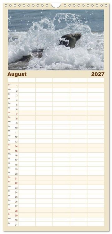 Produktbild: Familienplaner 2027 - Das Leben der Robben mit 5 Spalten (Wandkalender, 21 x 45 cm) CALVENDO
