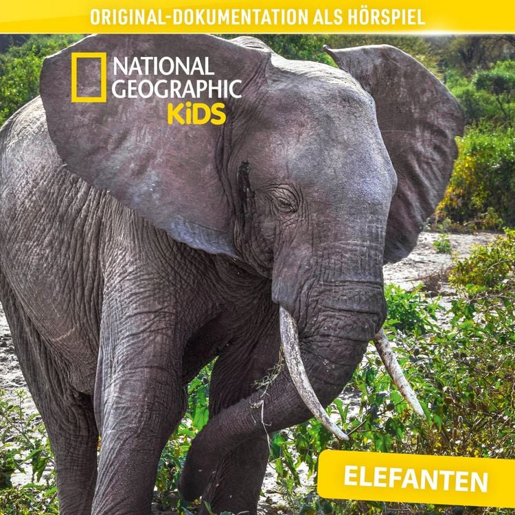 Produktbild: National Geographic Kids: Elefanten (Original-Dokumentation als H&ouml;rspiel)